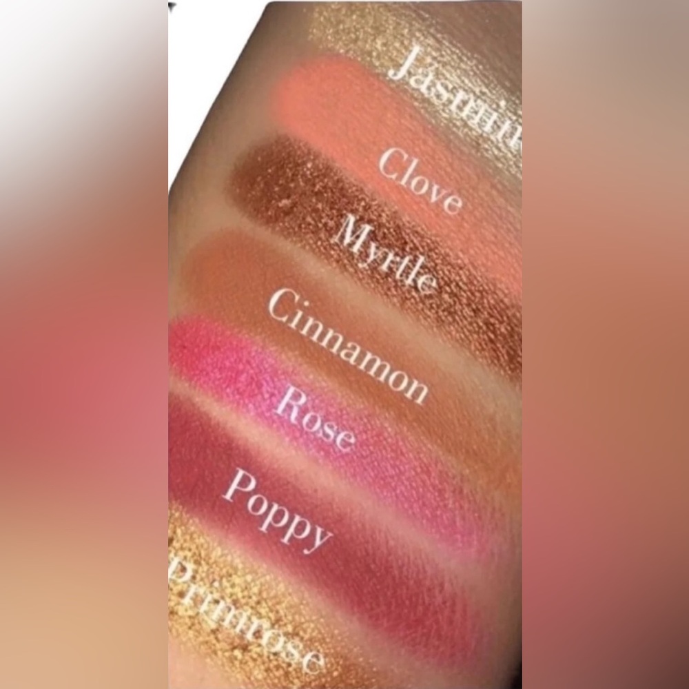 Ace Beaute Grandiose Palette BNIB - Picture 5 of 6